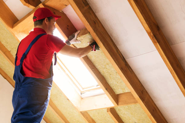 Best Commercial Insulation Services  in Altamonte Springs, FL